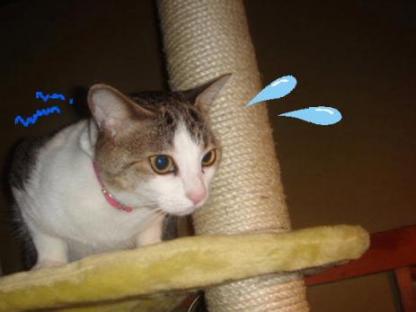 こわいにゃ～～～～～～