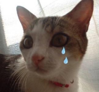 ナナコ姉ちゃんコワイ