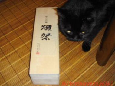 あたしのファン？