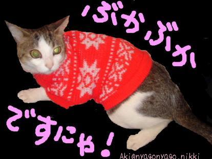 ぶかぶかですにゃ！