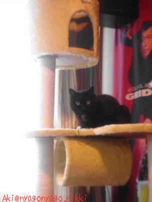 やっぱりここが好き