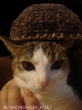 にあわにゃい！