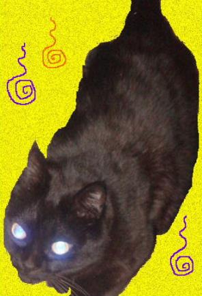 ひゅるるる～～