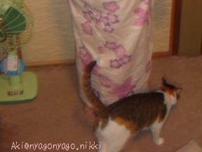 さみしかったにゃ