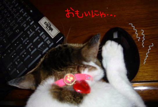 まうすはおもいにゃ・・・