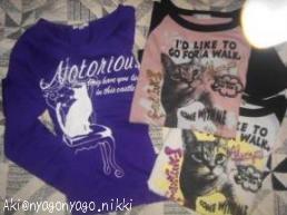 ねこＴシャツ