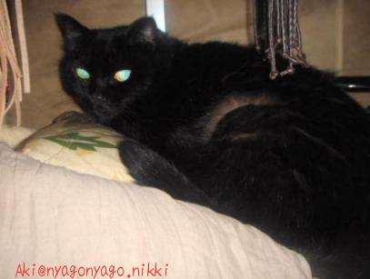 あいつがいないと♪