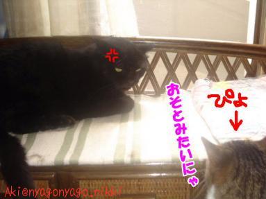 おそとみたいにゃ