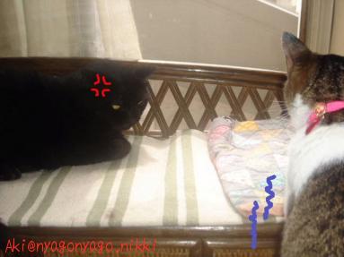 でもみたいにゃ