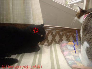 ここまでくれば・・・