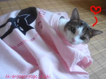 トンネルごっこ