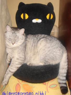 無理しなくても・・・