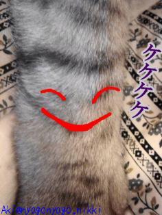 けけけけ