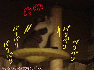 怒りのバリバリ