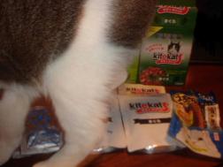 また来たぴよたん