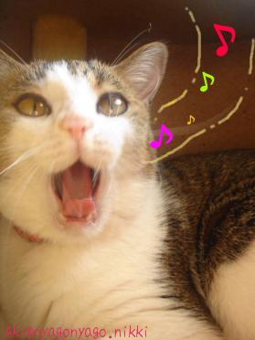 くらしっくぴよたん♪