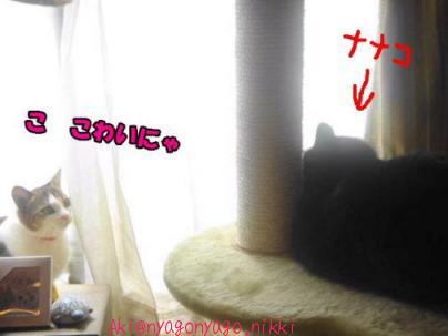 こ　こわいにゃ