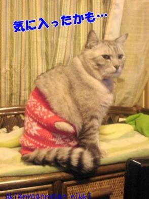 気に入ったかも・・・