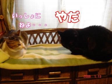 いっしょに・・・