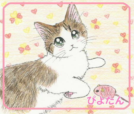 猫乃宮さんより