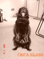 DSC01699.JPG
