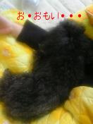 2006-01-15 08:04:51