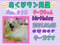 あくびワン同盟