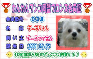 ブロンズ会員証