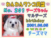 わんわんワンコ同盟