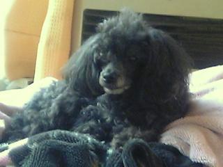 あったかい♪