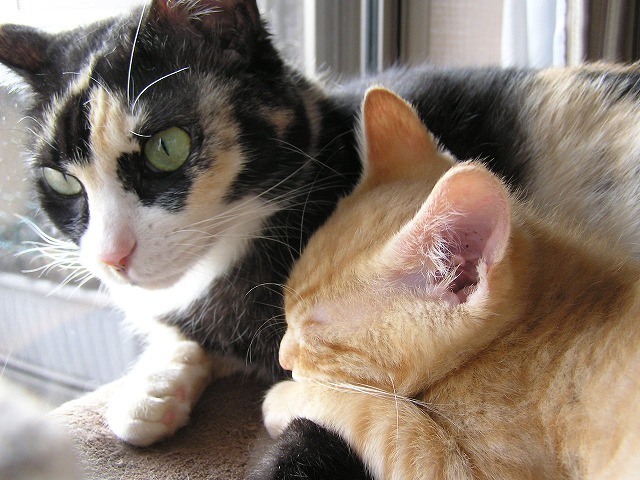 PC210056.jpg