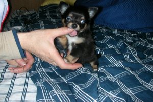 アムアム・・・。