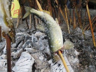 大きい鮎を塩焼きに