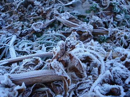 残雪では有りません.jpg