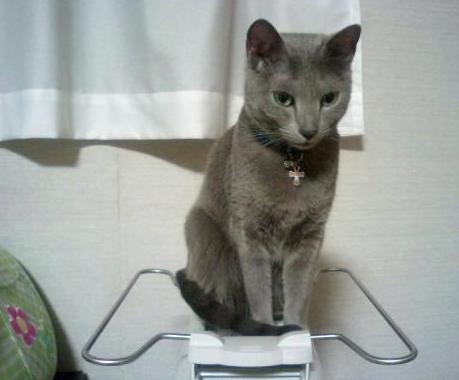 オイルヒーター