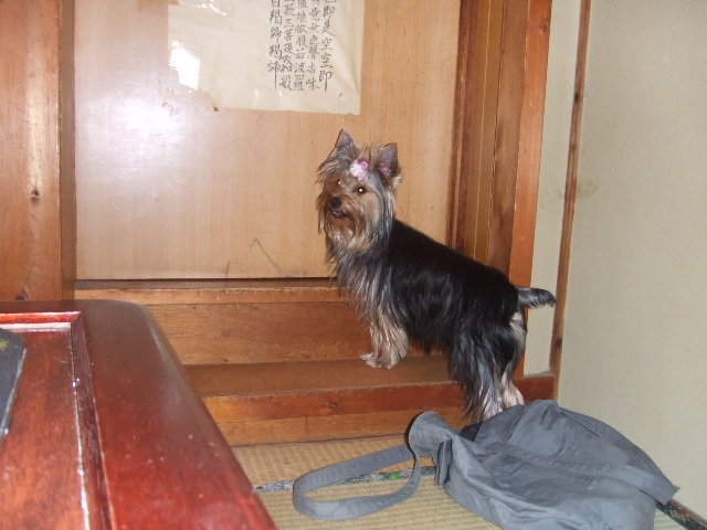 画像 004.jpg