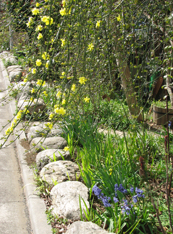 4 オウバイ_9428.gif