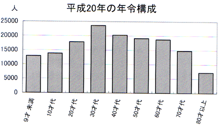 平成２０年、年代別グラフ.gif