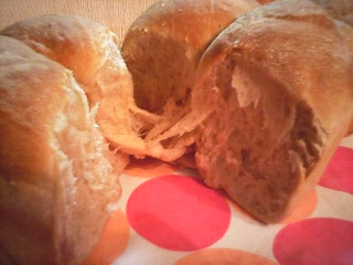 ミロパン２