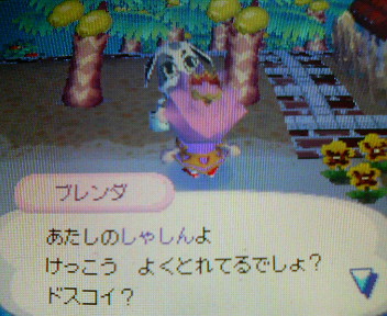 2007.05.03.ブレンダから写真