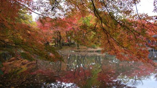 京都の秋２　Autumn in Kyoto 2