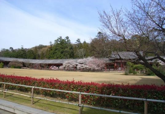 東大寺の庭