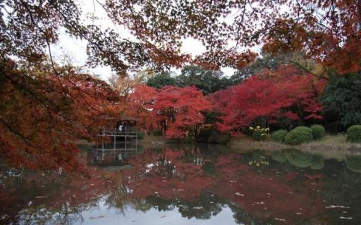 京都の秋１　Autumn in Kyoto 1