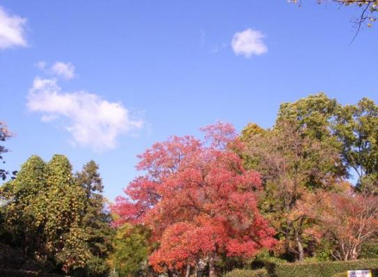 北千里公園