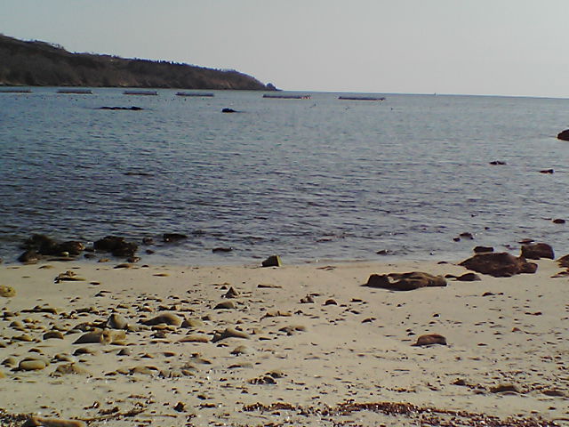 崎の浜