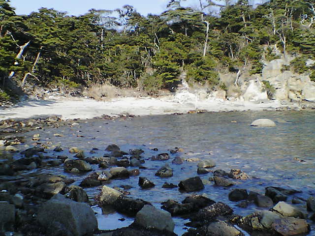 崎の浜3