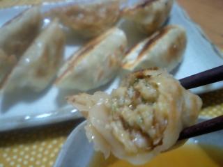 gyoza