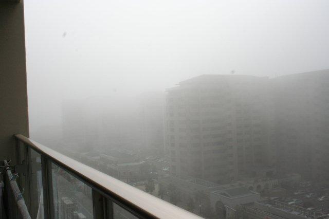 海の濃霧、昼の様子