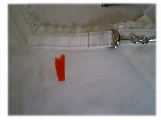 エミリー交換画像 (12).JPG