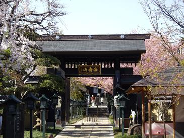 安行・春の密蔵院